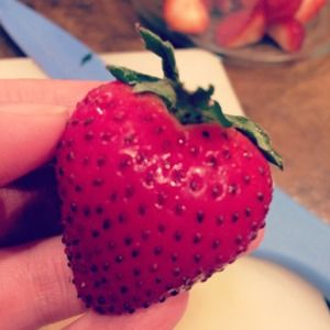 Meet your Posher, Meggan